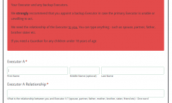 Standard Will Questionnaire